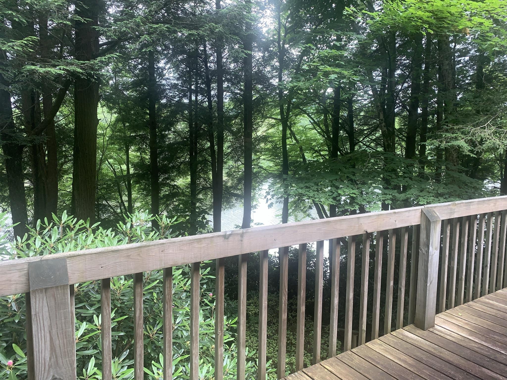 274 Ripshin Lake Road Roan Mountain, TN 37687 - Photo 14 of 62 view from deck
