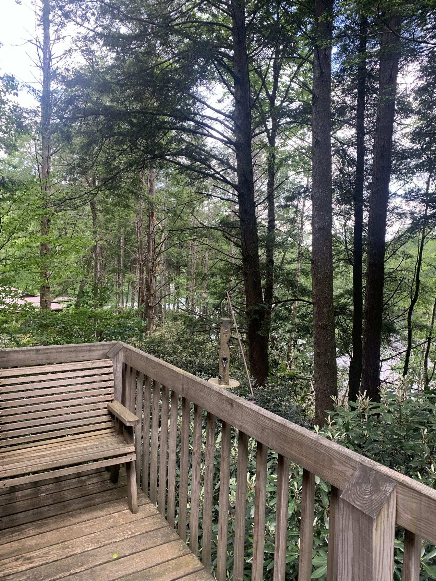 274 Ripshin Lake Road Roan Mountain, TN 37687 - Photo 16 of 62 view from deck3