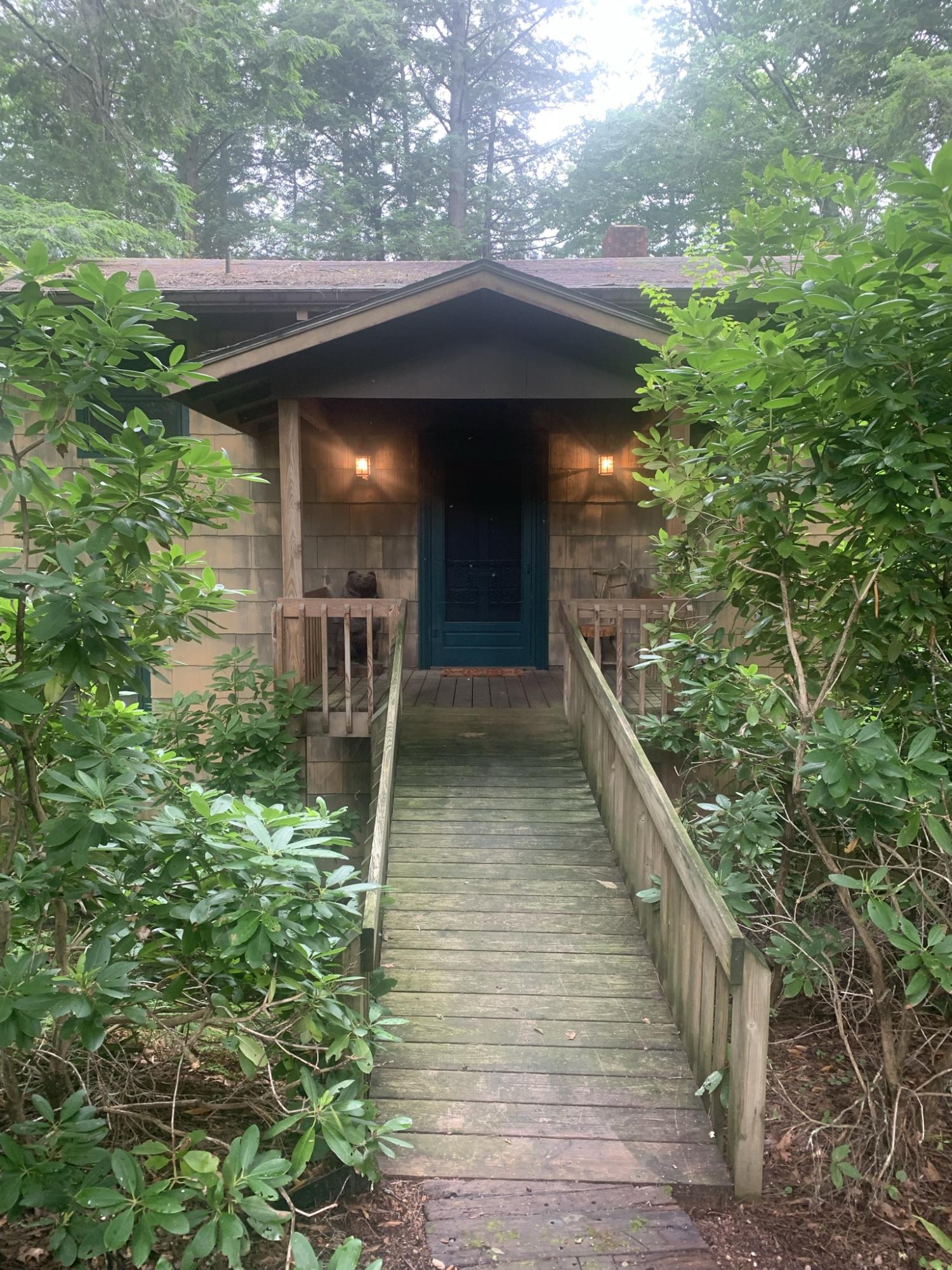 274 Ripshin Lake Road Roan Mountain, TN 37687 - Photo 2 of 62 front entry