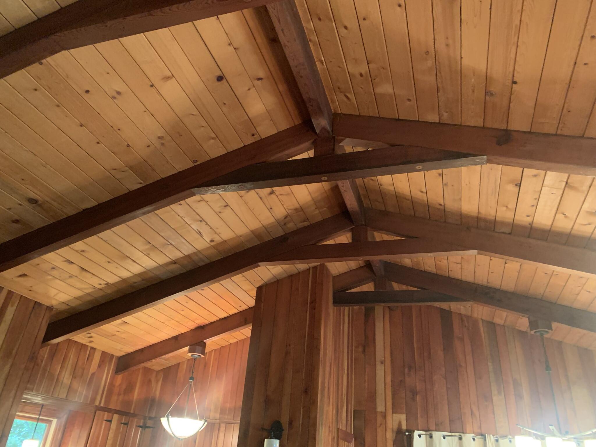 274 Ripshin Lake Road Roan Mountain, TN 37687 - Photo 31 of 62 great room ceiling