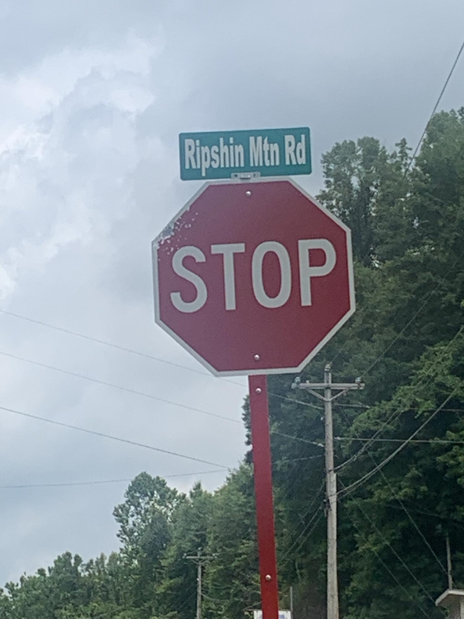 274 Ripshin Lake Road Roan Mountain, TN 37687 - Photo 58 of 62 ripshin mtn rd sign on 19E