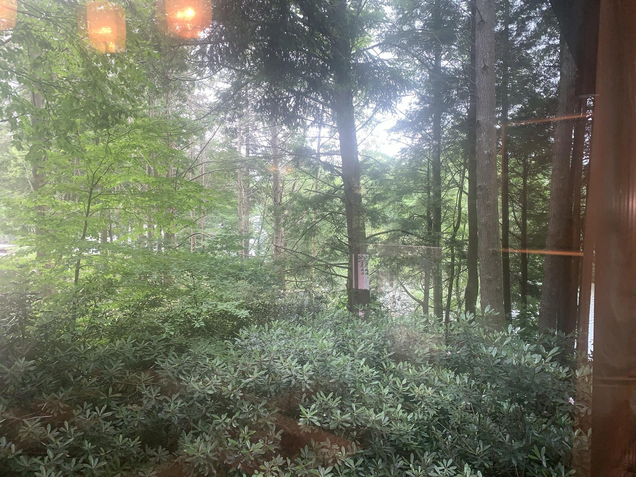 274 Ripshin Lake Road Roan Mountain, TN 37687 - Photo 61 of 62 view through dining area window