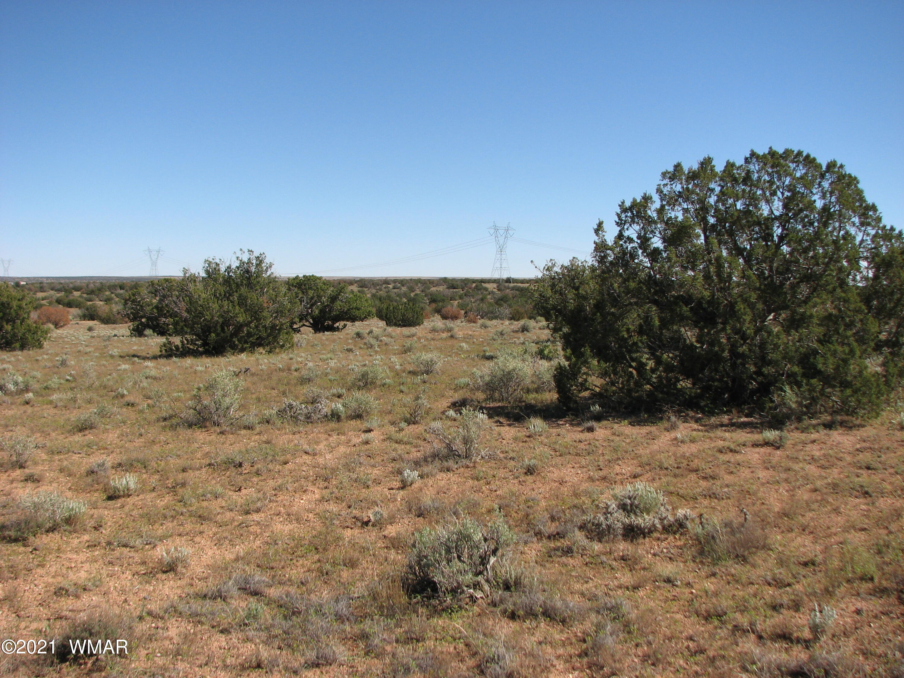 Lot 132 Chevelon Canyon Ranch Heber, AZ 85928 - Photo 3 of 5