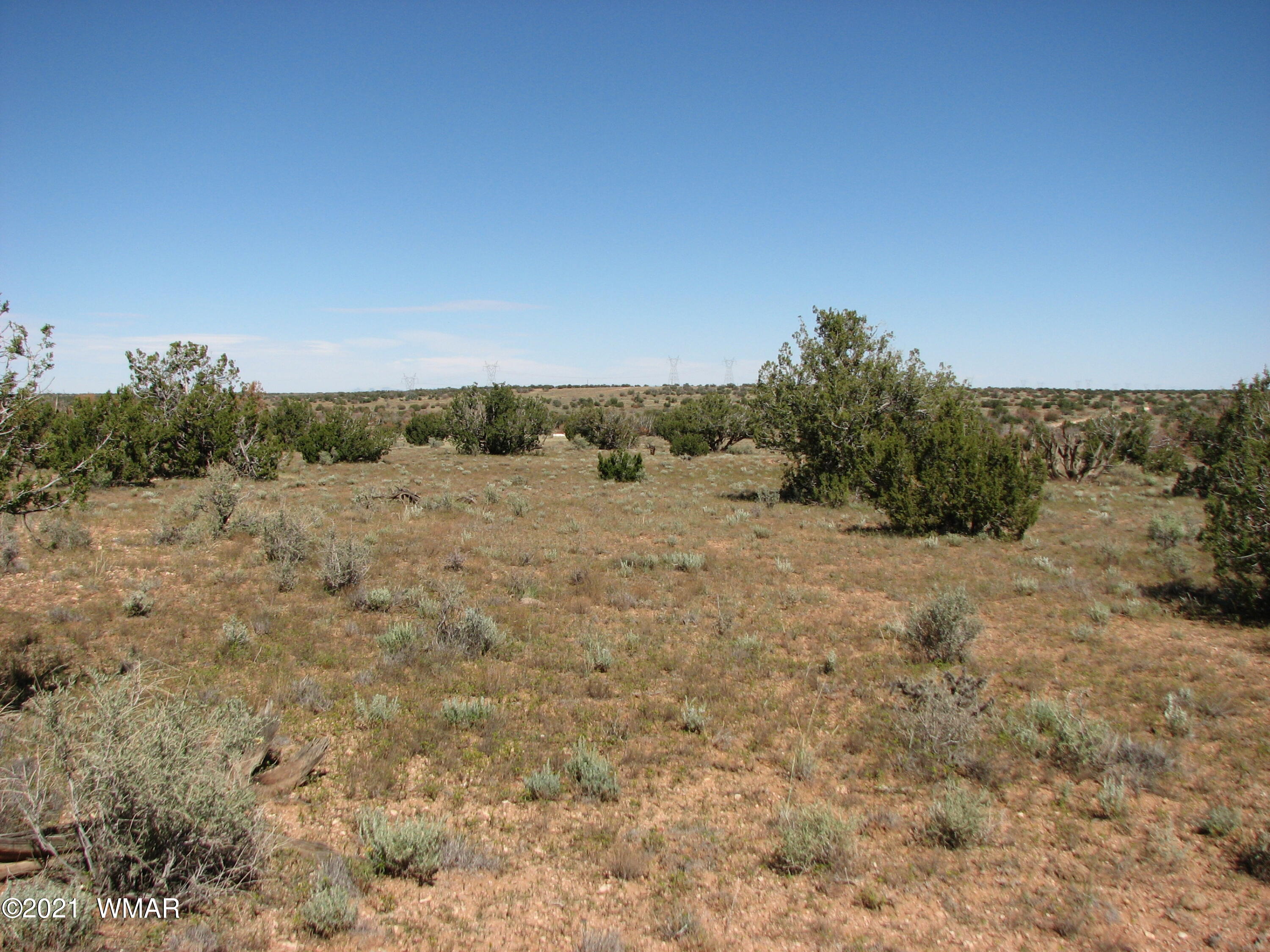 Lot 132 Chevelon Canyon Ranch Heber, AZ 85928 - Photo 4 of 5