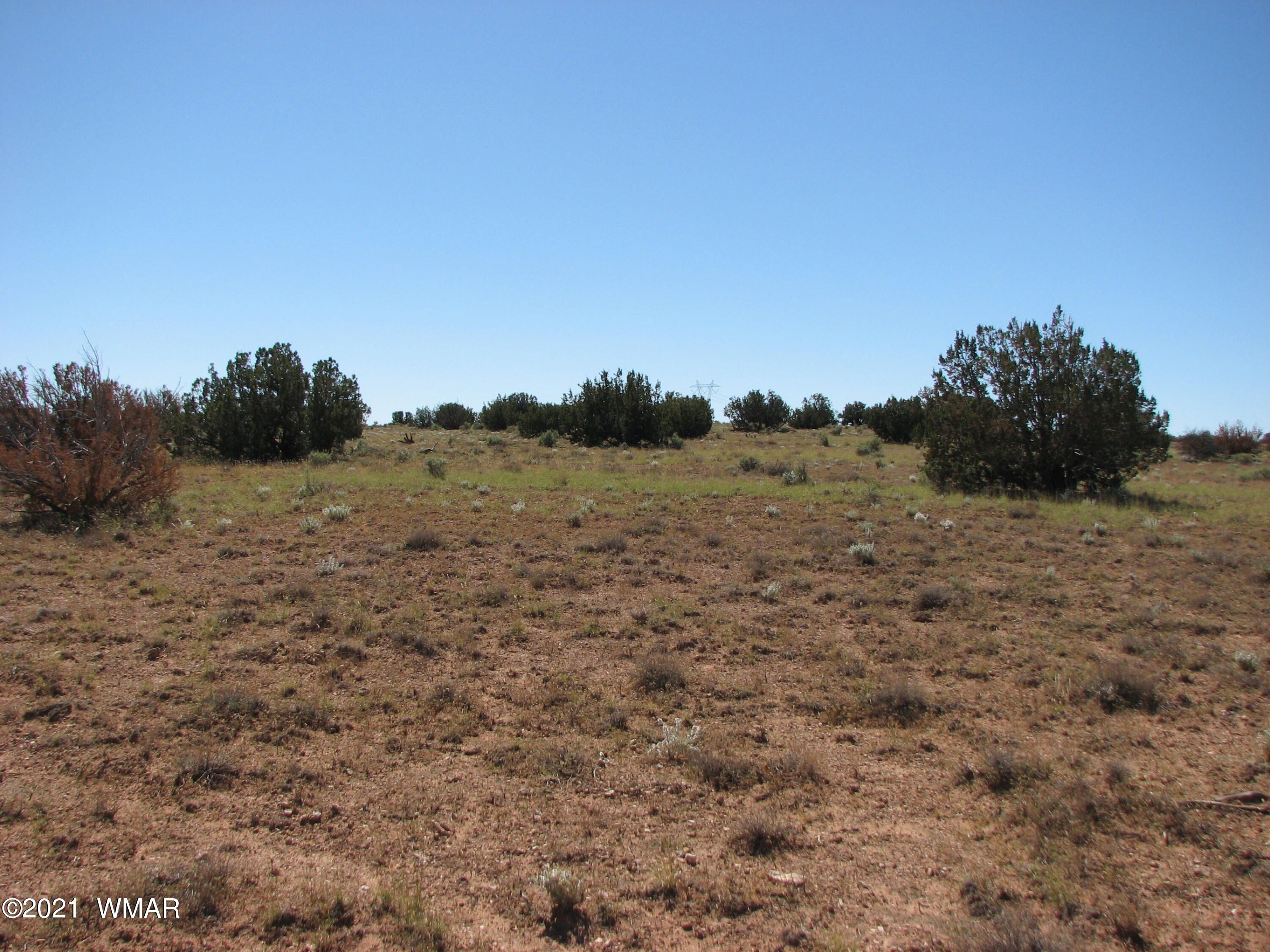 Lot 132 Chevelon Canyon Ranch Heber, AZ 85928 - Photo 5 of 5