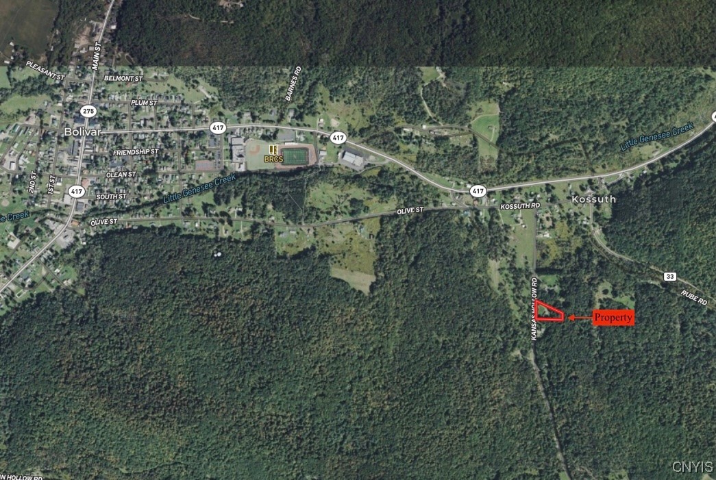 1398 Kansas Hollow Road Bolivar, NY 14715 - Photo 33 of 33