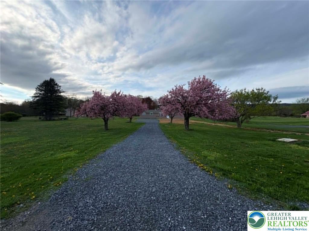 3957 Mountain Road Slatington, PA 18080 - Photo 3 of 33 a view of a garden with trees in the background