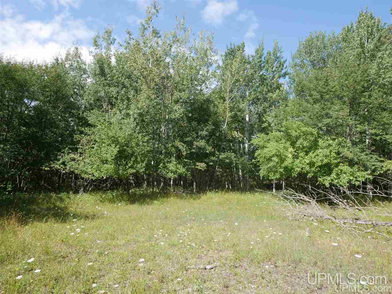 56917 Koskela Road Calumet, MI 49913 - Photo 23 of 36