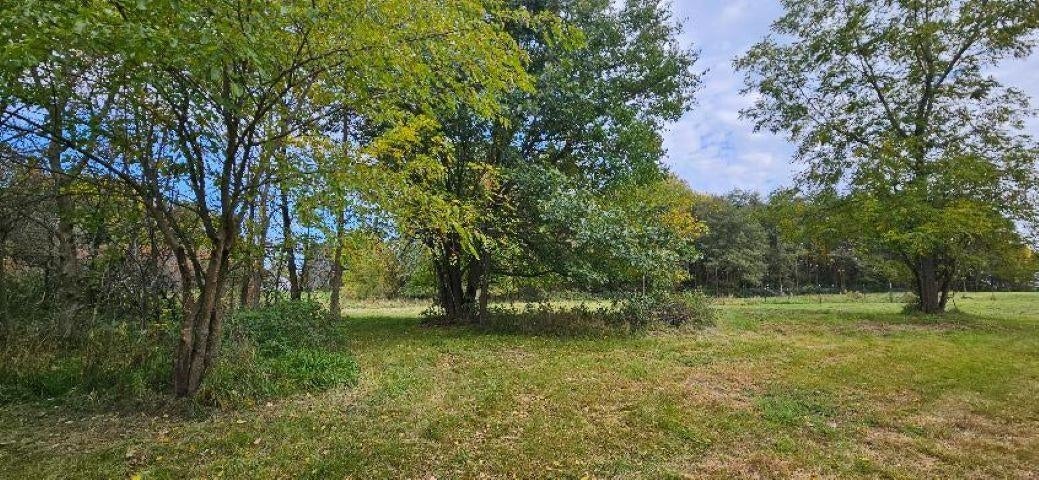 0 Lemon Road Bancroft, MI 48414 - Photo 4 of 16 Gallery Image 4