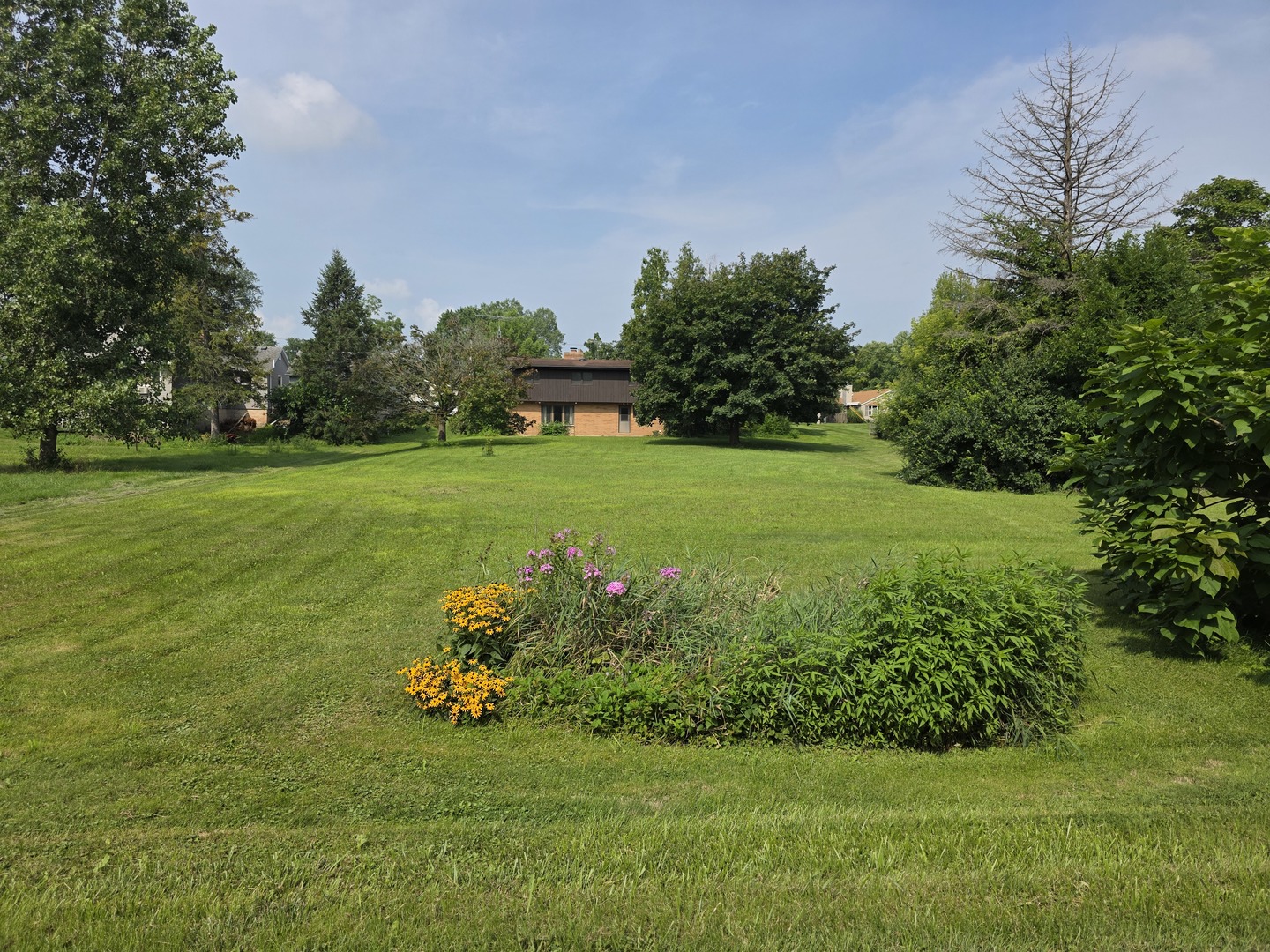1546 Wheeler Street Woodstock, IL 60098 - Photo 5 of 32 a yard with lots of green space and trees in the background