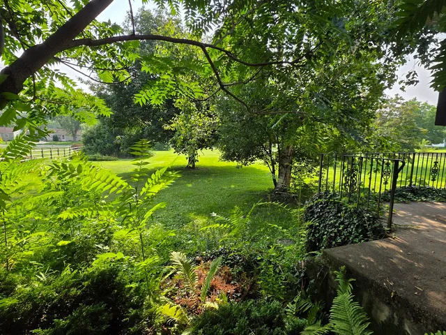 a view of yard with green space