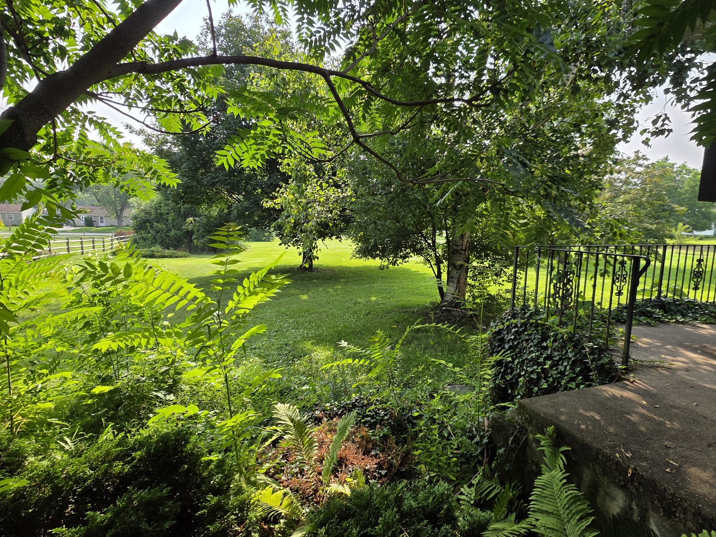 1546 Wheeler Street Woodstock, IL 60098 - Photo 6 of 32 a view of yard with green space