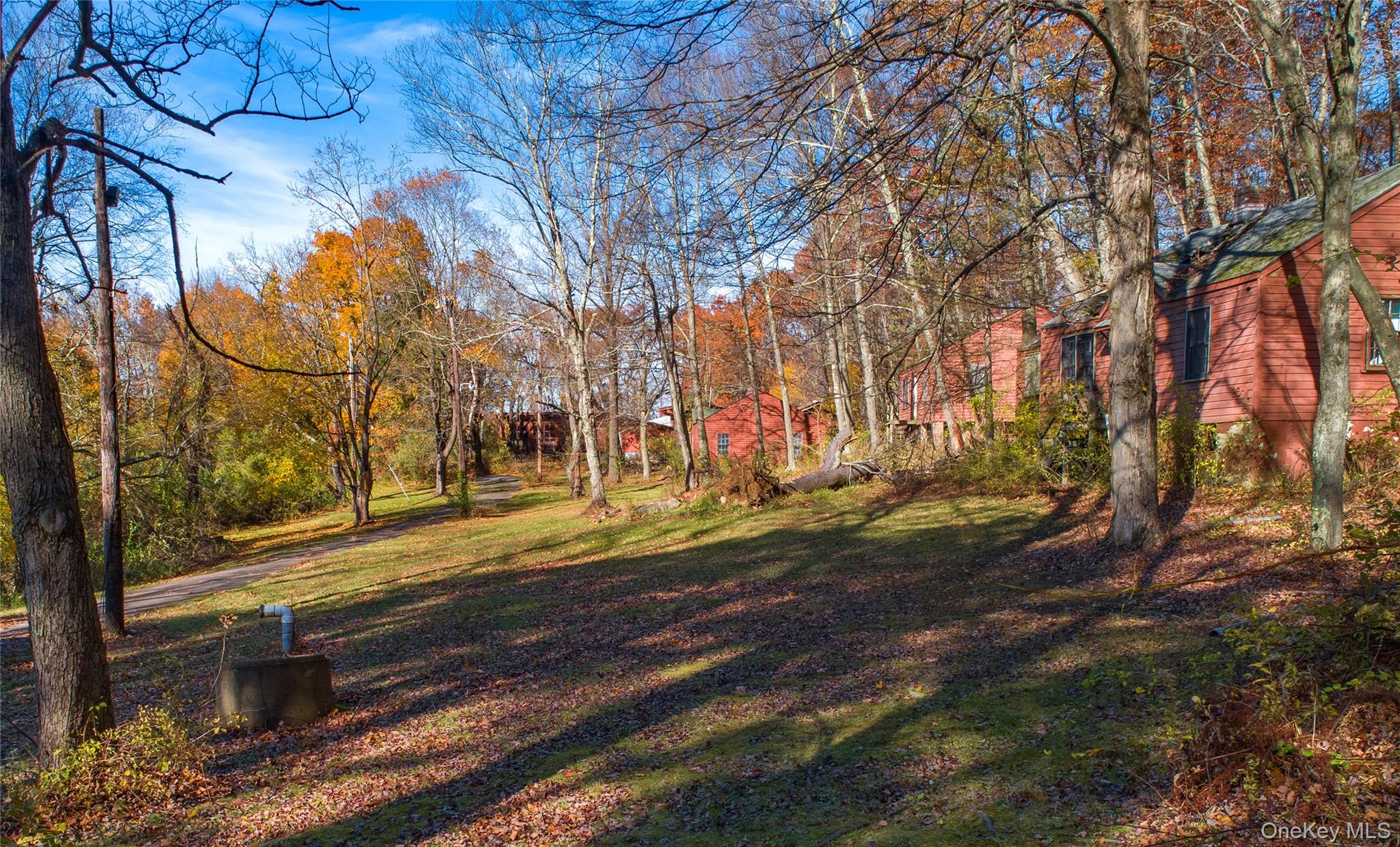111 Ballyhack Road Brewster, NY 10509 - Photo 17 of 26 a view of yard with tree in it