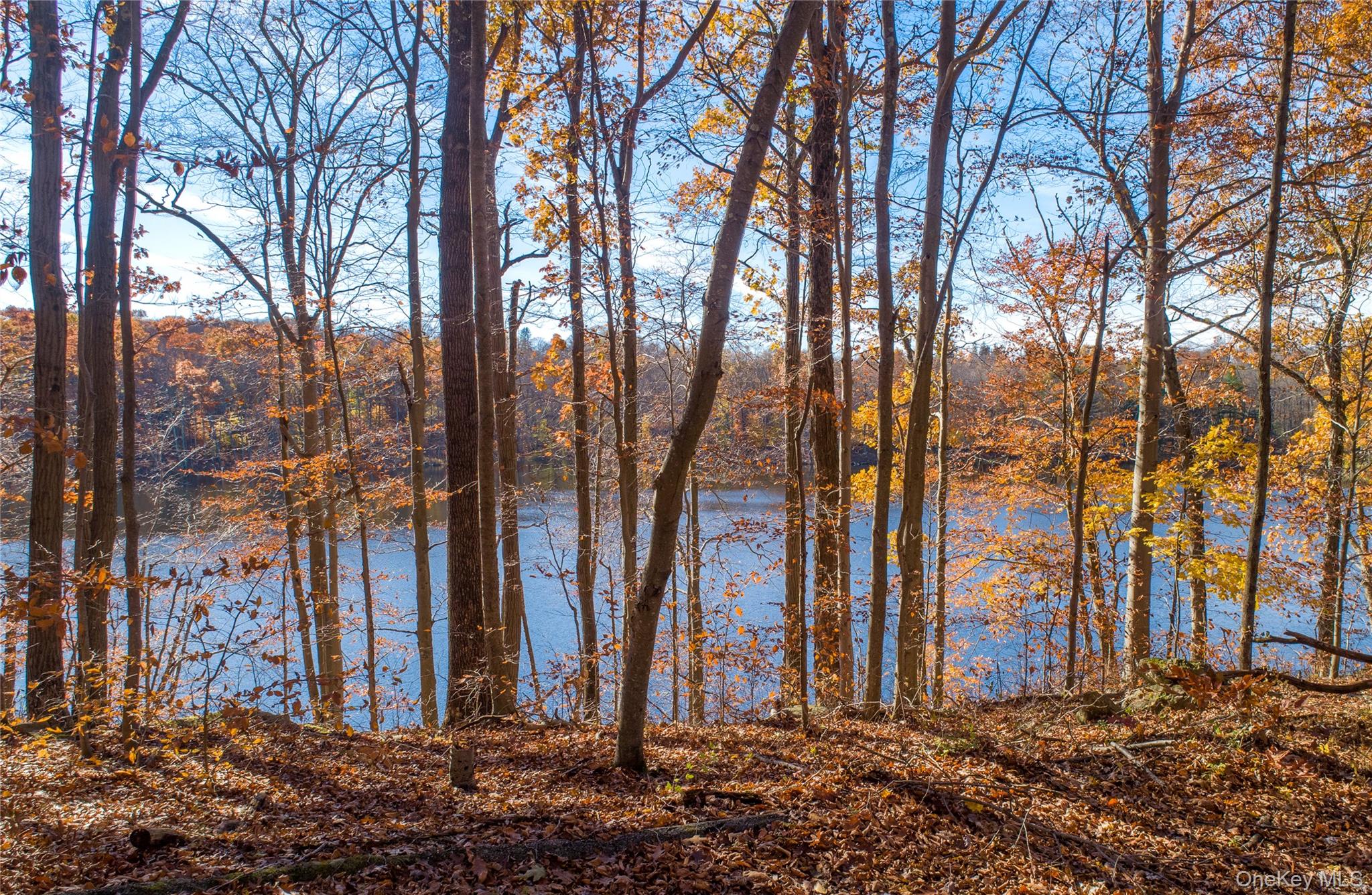 111 Ballyhack Road Brewster, NY 10509 - Photo 22 of 26 a view of a backyard of the house
