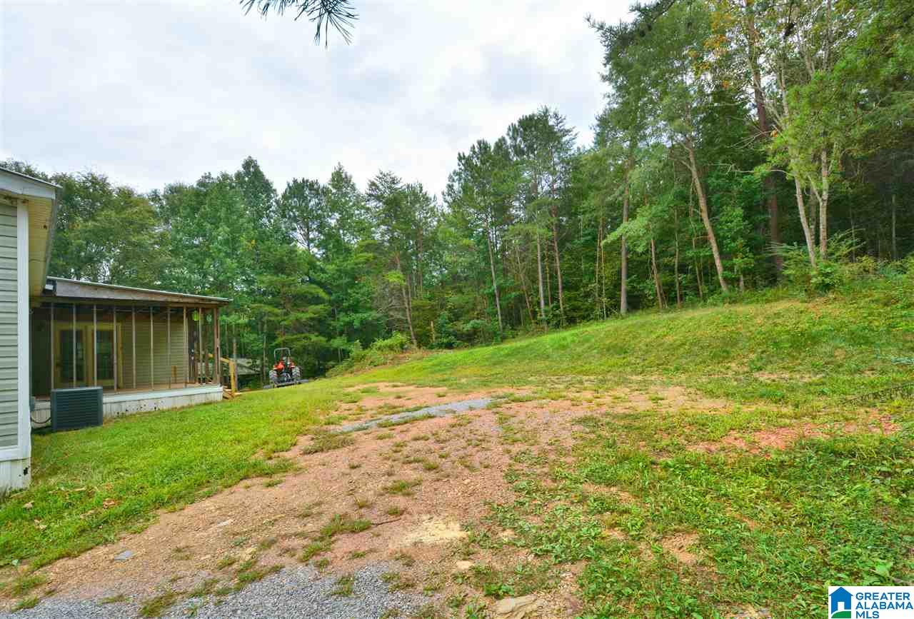 809 Wilderness Trail Shelby, AL 35143 - Photo 5 of 30