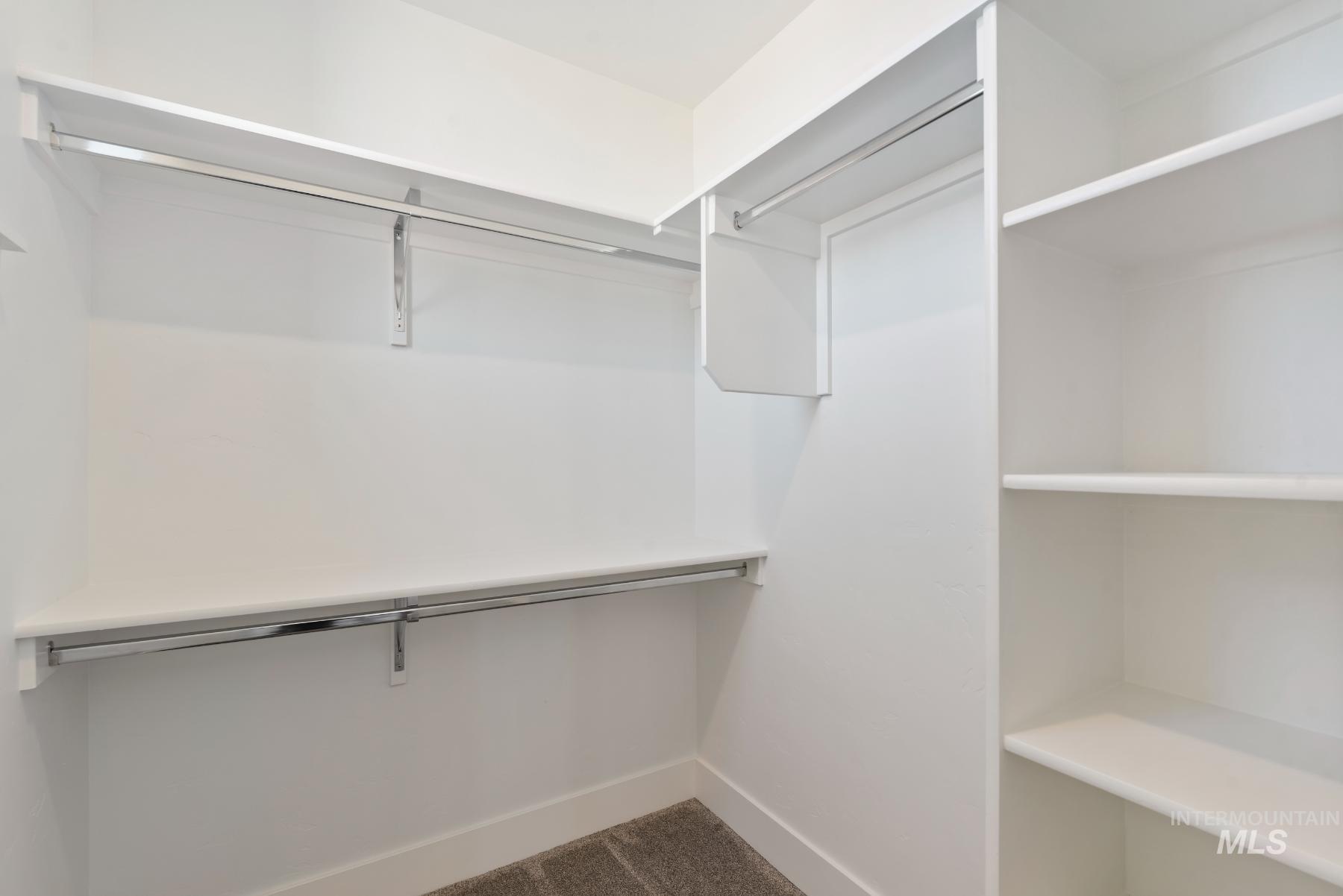 1319 West Malbar Street Meridian, ID 83646 - Photo 24 of 31 Spacious closet featuring carpet