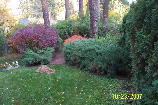 912 East Plateau Road Spokane, WA 99203 - Photo 7 of 9 Gallery Image 7