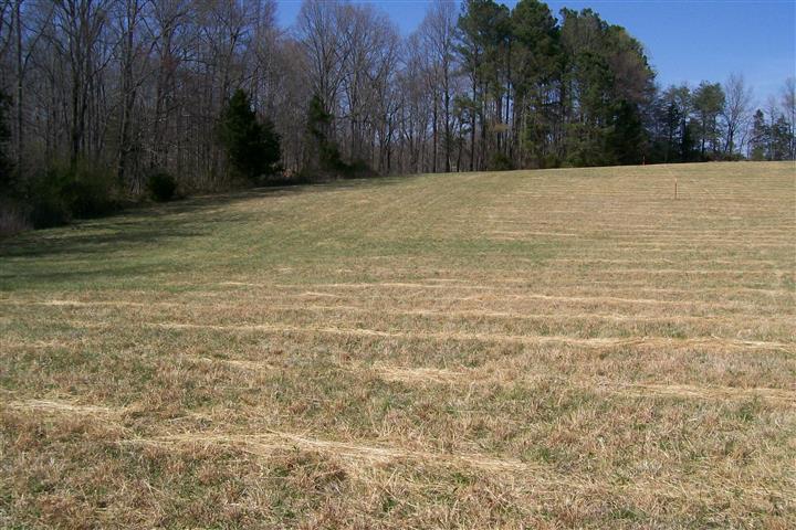 300 Pollard Road Walling, TN 38587 - Photo 1 of 3 Gallery Image 1