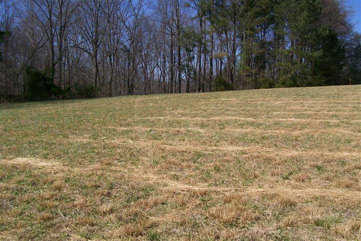 300 Pollard Road Walling, TN 38587 - Photo 2 of 3 Gallery Image 2
