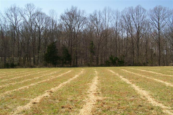 300 Pollard Road Walling, TN 38587 - Photo 3 of 3 Gallery Image 3