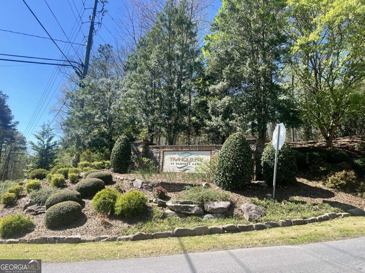 Lot 93 Doll Mountain Road Ellijay, GA 30540 - Photo 2 of 10 a view of a backyard with table and chairs