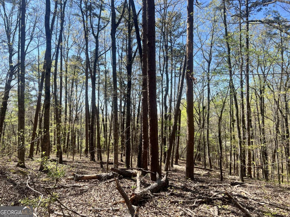 Lot 93 Doll Mountain Road Ellijay, GA 30540 - Photo 4 of 10 a view of outdoor space with garden