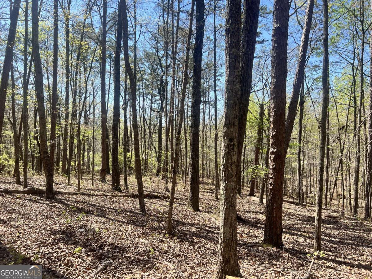 Lot 93 Doll Mountain Road Ellijay, GA 30540 - Photo 6 of 10 a view of outdoor space with chairs