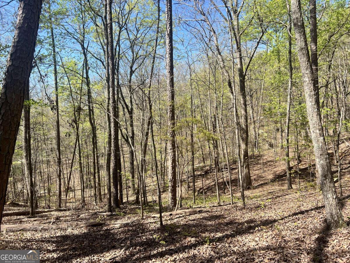 Lot 93 Doll Mountain Road Ellijay, GA 30540 - Photo 8 of 10 a view of a backyard of the house