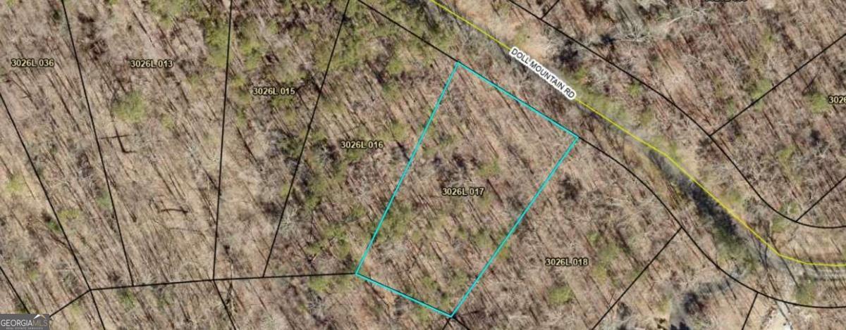 Lot 93 Doll Mountain Road Ellijay, GA 30540 - Photo 9 of 10 a view of wooden floor with a trees