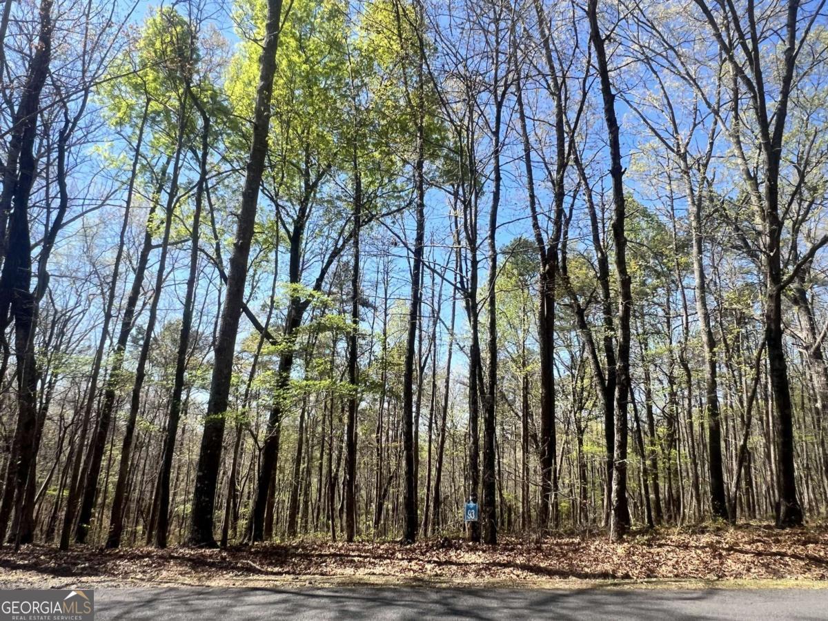 Lot 93 Doll Mountain Road Ellijay, GA 30540 - Photo 10 of 10 a view of a building with trees