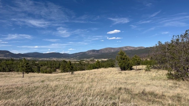 24.61-acres Los Alamitos Road Chacon, NM 87713 - Photo 5 of 12