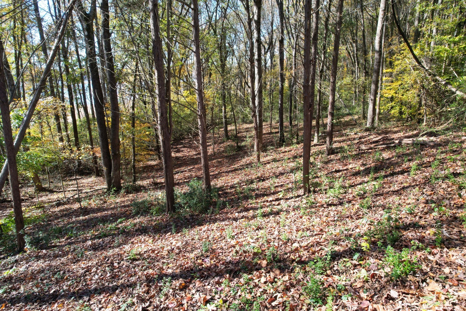 285 Billy Goat Hill Road Winchester, TN 37398 - Photo 8 of 25 Gallery Image 8