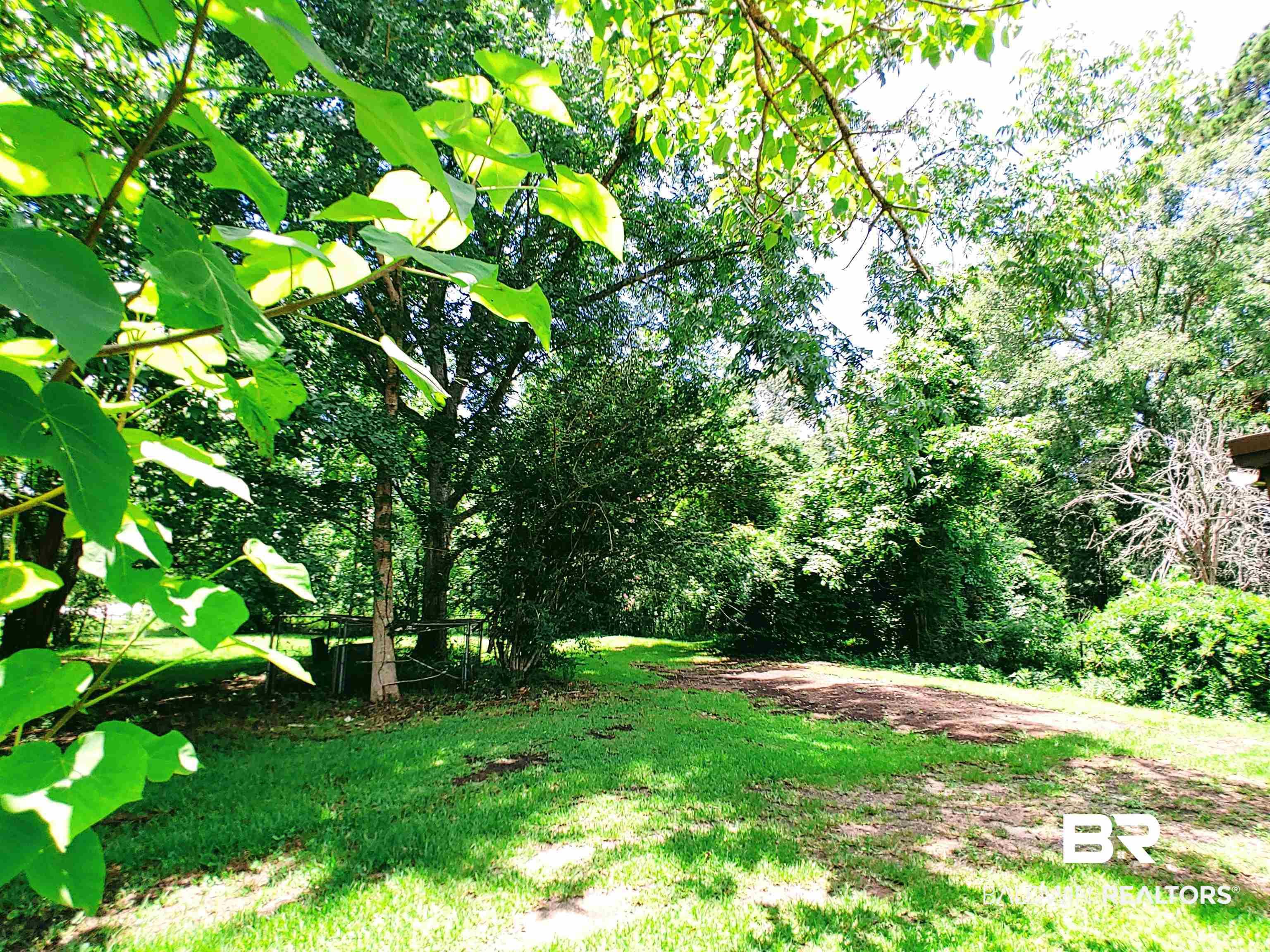 609 Highway 17 Silas, AL 36919 - Photo 31 of 32