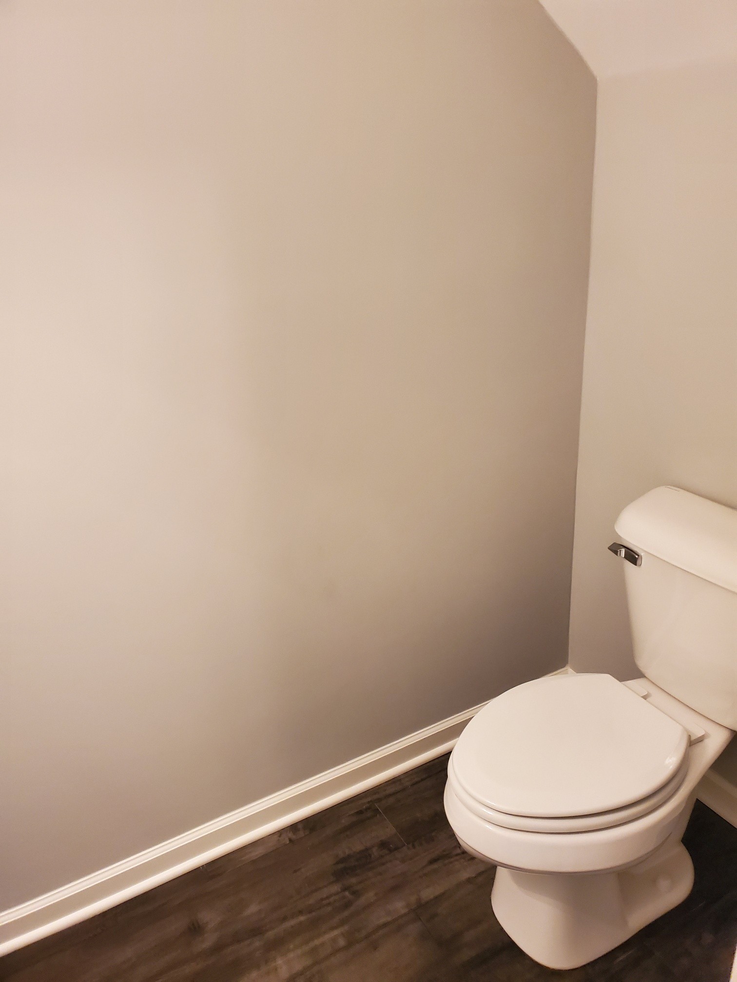 4417 Sunday Silence Way Murfreesboro, TN 37128 - Photo 13 of 17 a white toilet sitting next to a white wall
