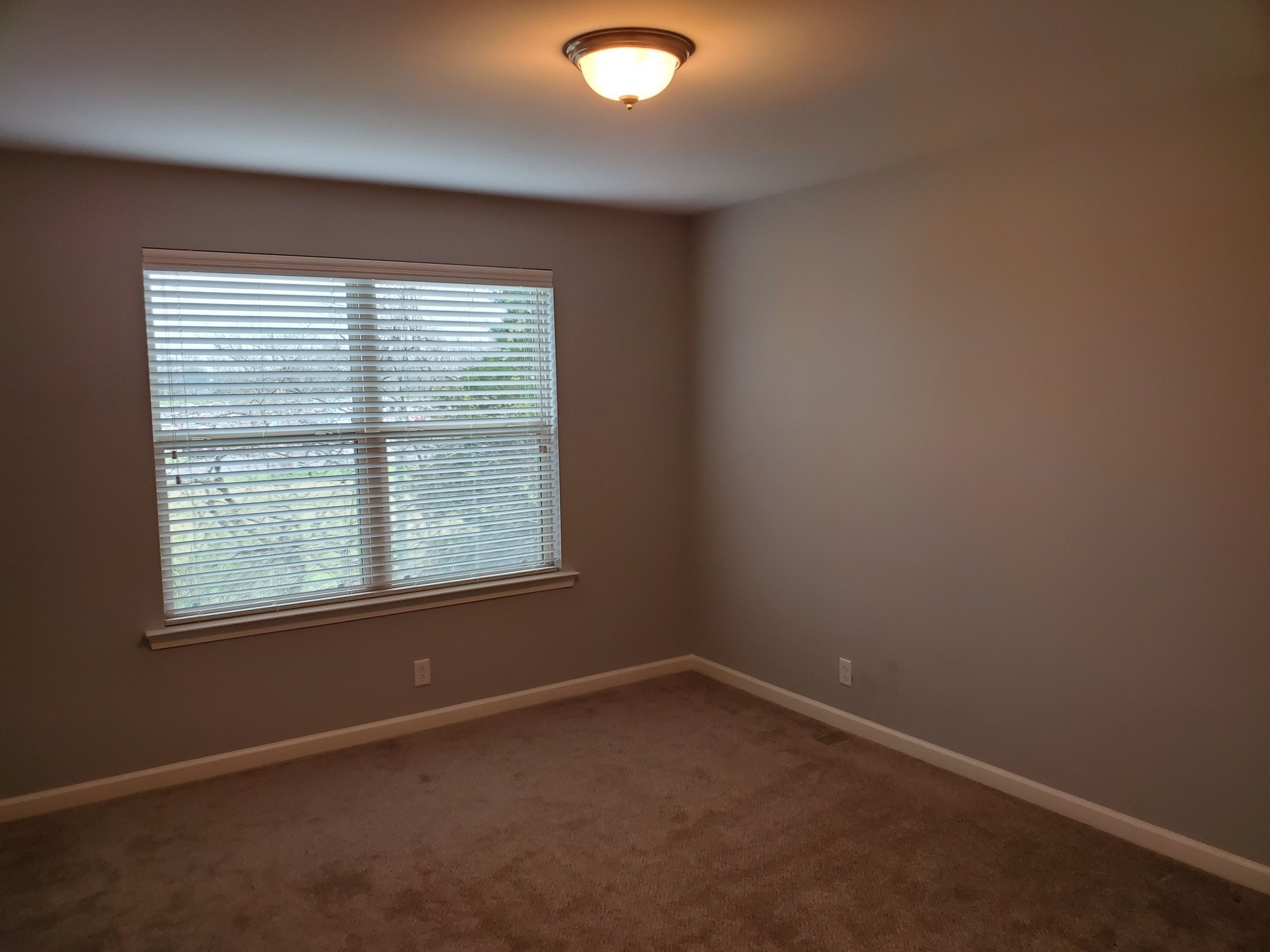 4417 Sunday Silence Way Murfreesboro, TN 37128 - Photo 7 of 17 an empty room with a window