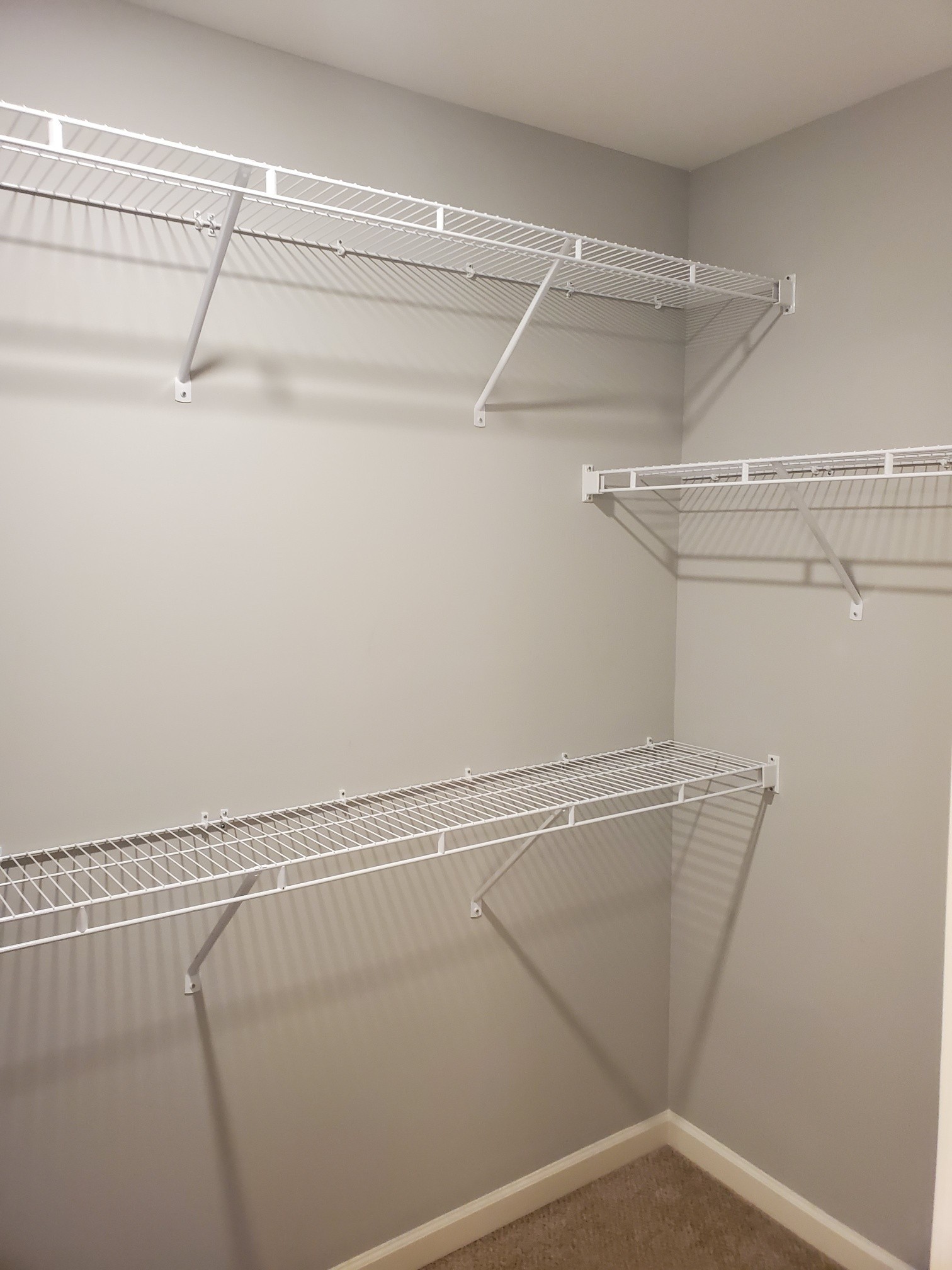 4417 Sunday Silence Way Murfreesboro, TN 37128 - Photo 9 of 17 a view of a room with racks on the wall