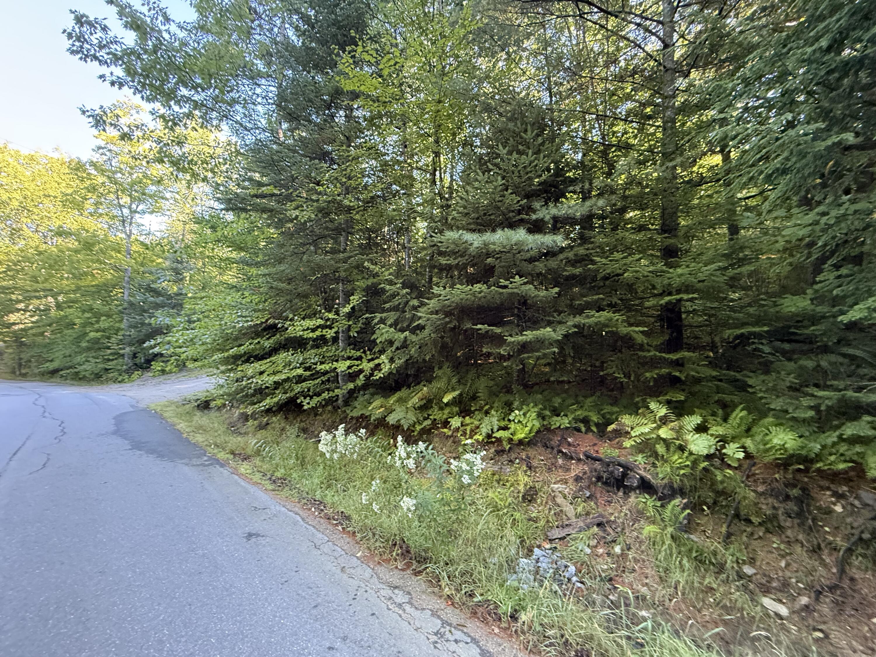 R213 C Howard Pond Road Hanover, ME 04237 - Photo 2 of 11 IMG_4687