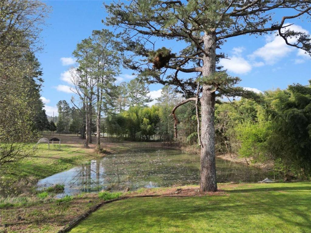 5948 Haywood Valley Road Summerville, GA 30747 - Photo 33 of 74 a view of a yard with a fountain