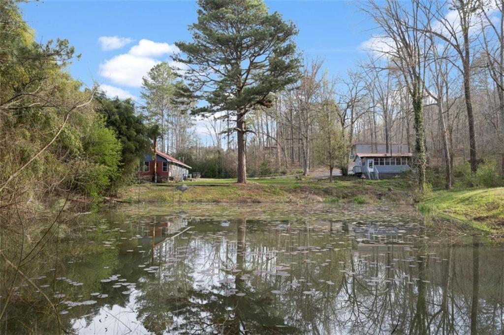 5948 Haywood Valley Road Summerville, GA 30747 - Photo 48 of 74 a view of a backyard with large trees