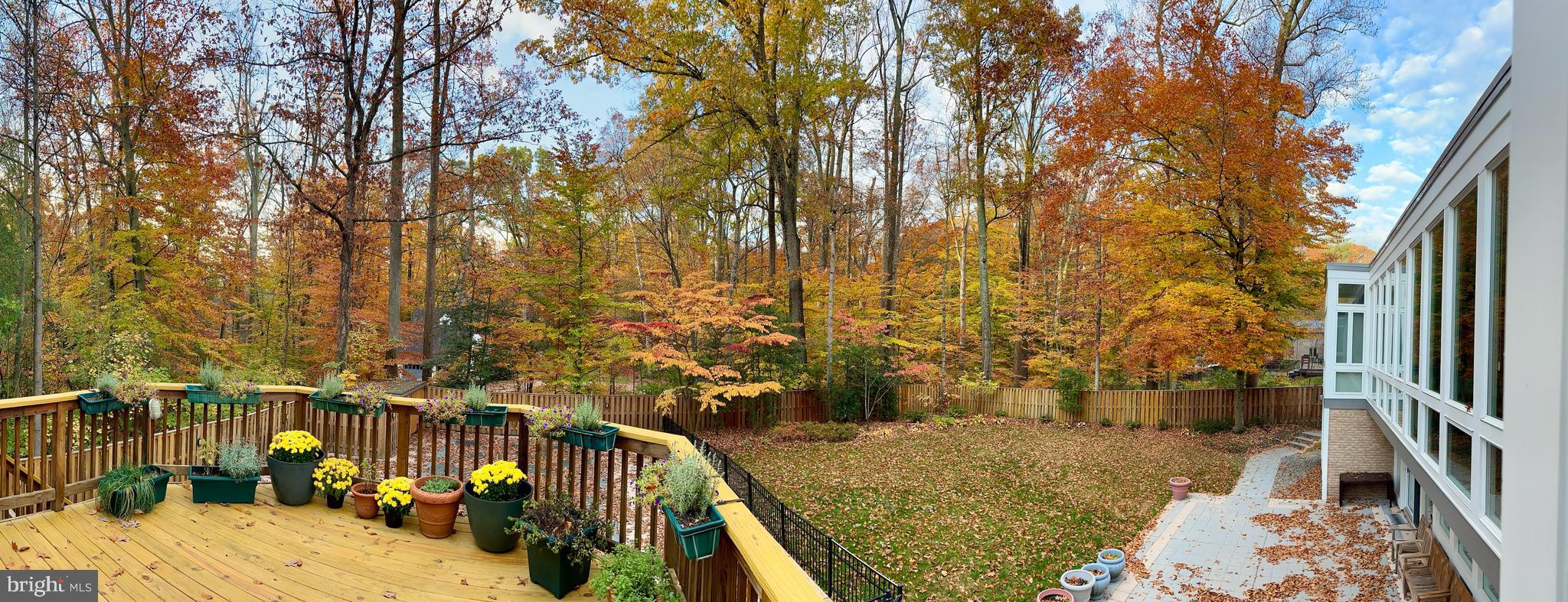 6904 Carmichael Avenue Bethesda, MD 20817 - Photo 11 of 16 a view of outdoor space and yard