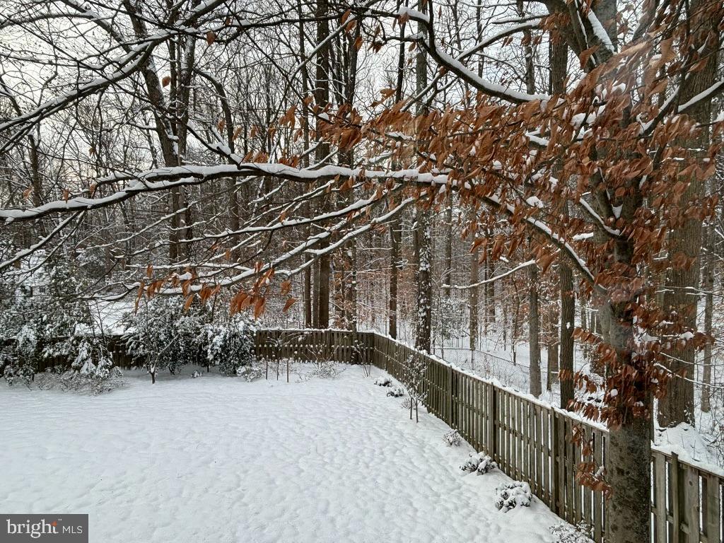 6904 Carmichael Avenue Bethesda, MD 20817 - Photo 14 of 16 a view of a pathway with a yard