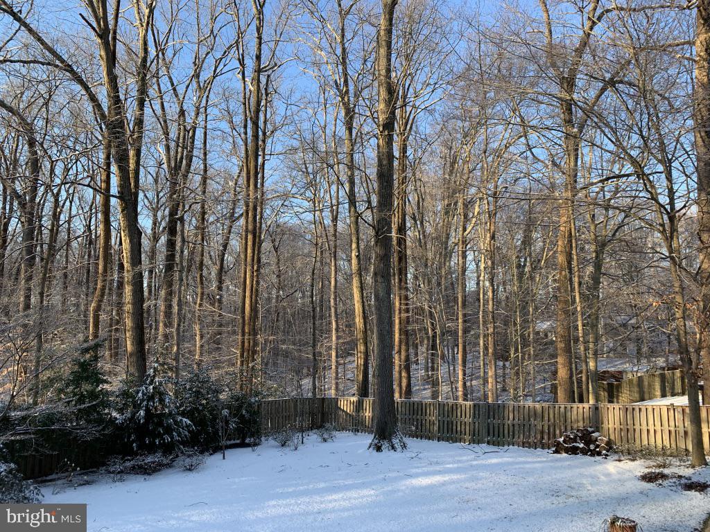 6904 Carmichael Avenue Bethesda, MD 20817 - Photo 15 of 16 a backyard of a house with a trees