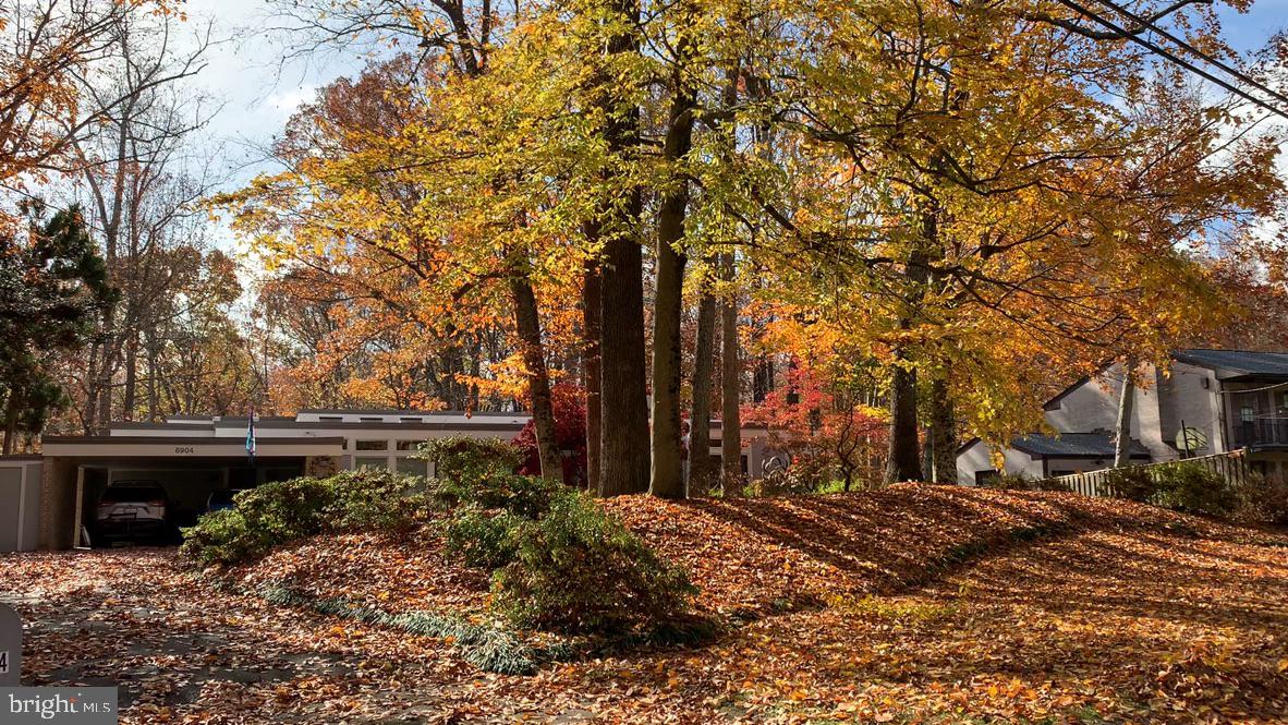 6904 Carmichael Avenue Bethesda, MD 20817 - Photo 10 of 16 a backyard of a house with lots of green space