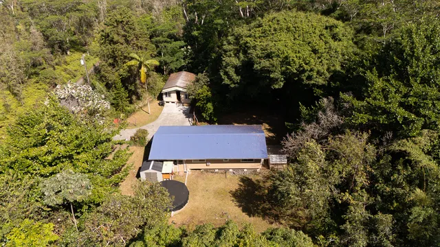 a view of a yard in front of house