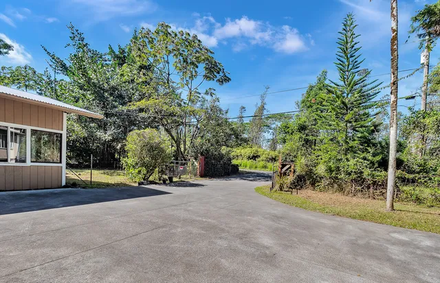 a view of a garden with plants