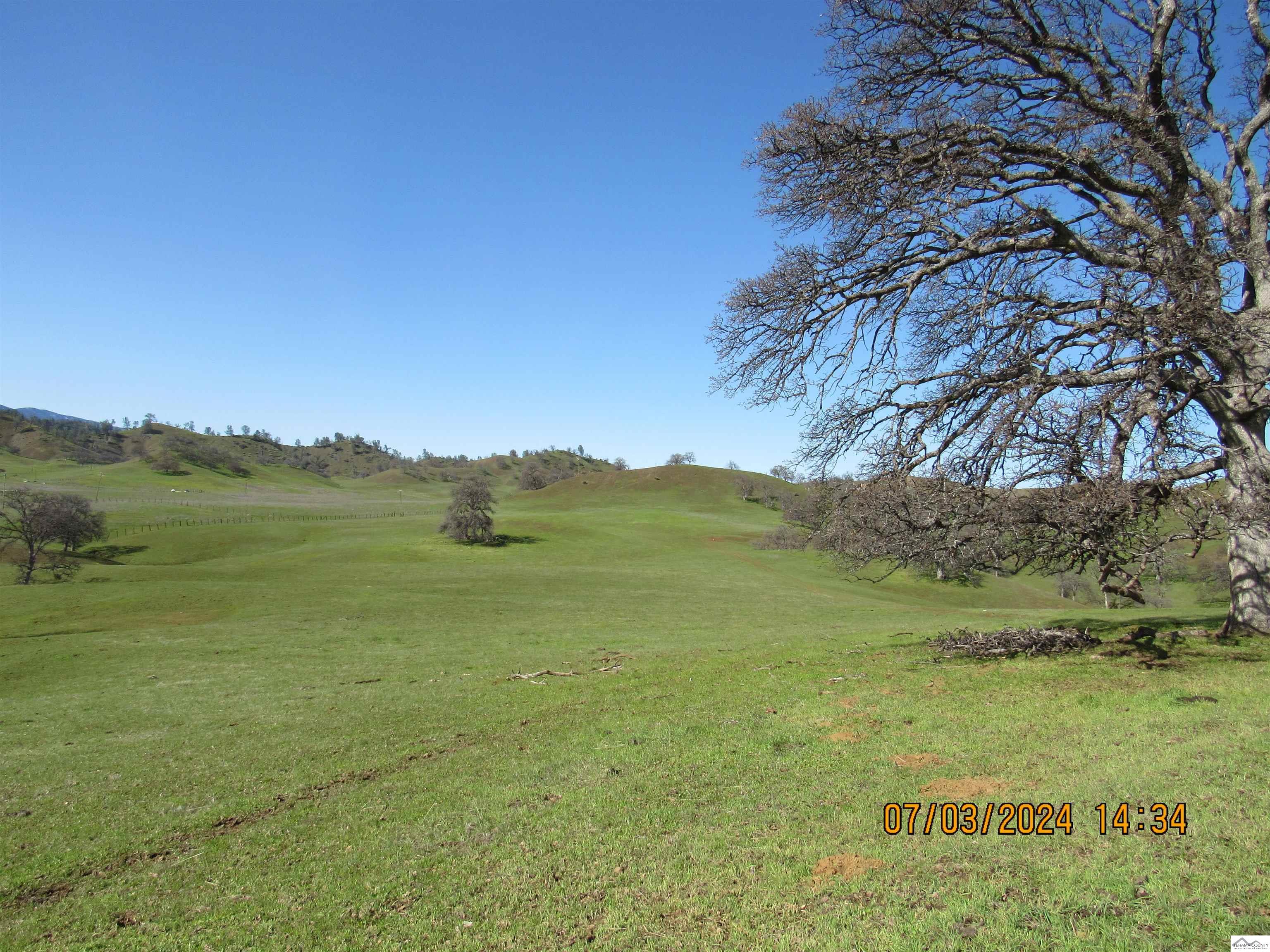 12755 Mccarty Creek Road Red Bluff, CA 96074 - Photo 5 of 28