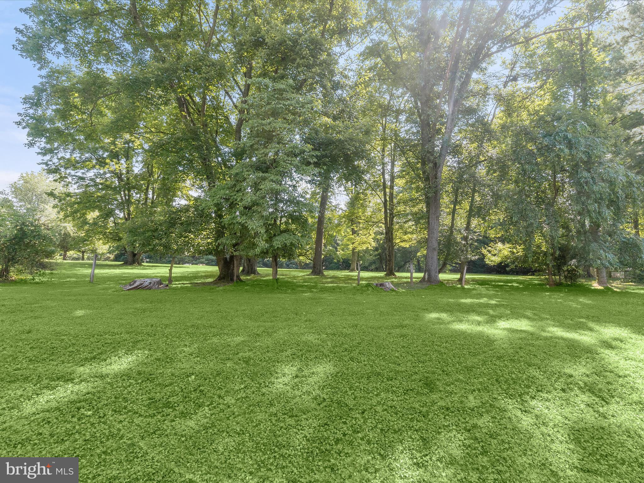 5324 Patterson Road Baldwin, MD 21013 - Photo 49 of 61 Rear Yard