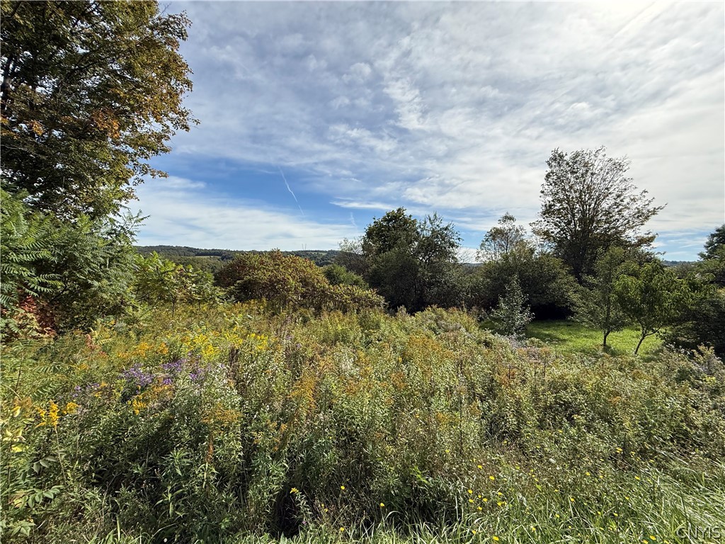 660 Lake Como Road Summerhill, NY 13045 - Photo 24 of 28 Gallery Image 24