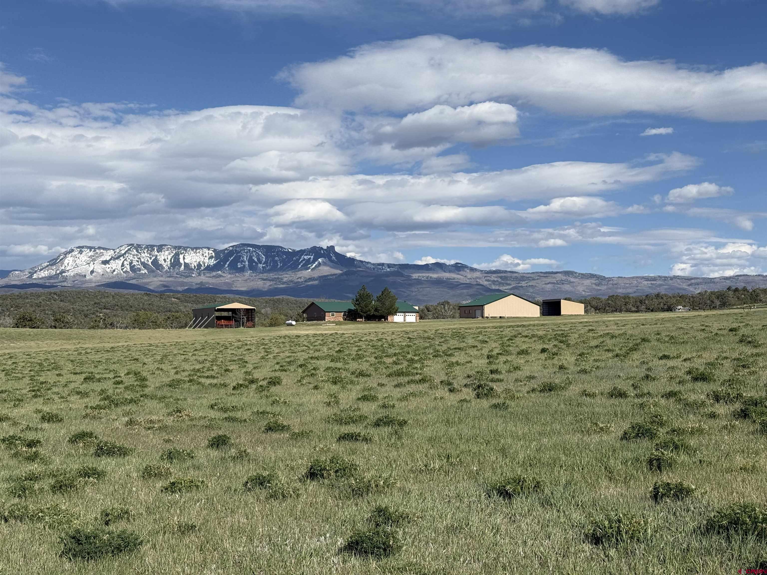 38832 Fruitland Mesa Road Crawford, CO 81415 - Photo 25 of 41 a view of a pathway with a big yard