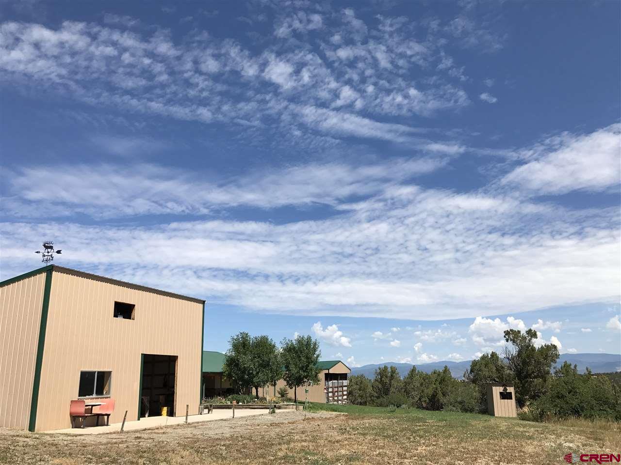 38832 Fruitland Mesa Road Crawford, CO 81415 - Photo 26 of 41
